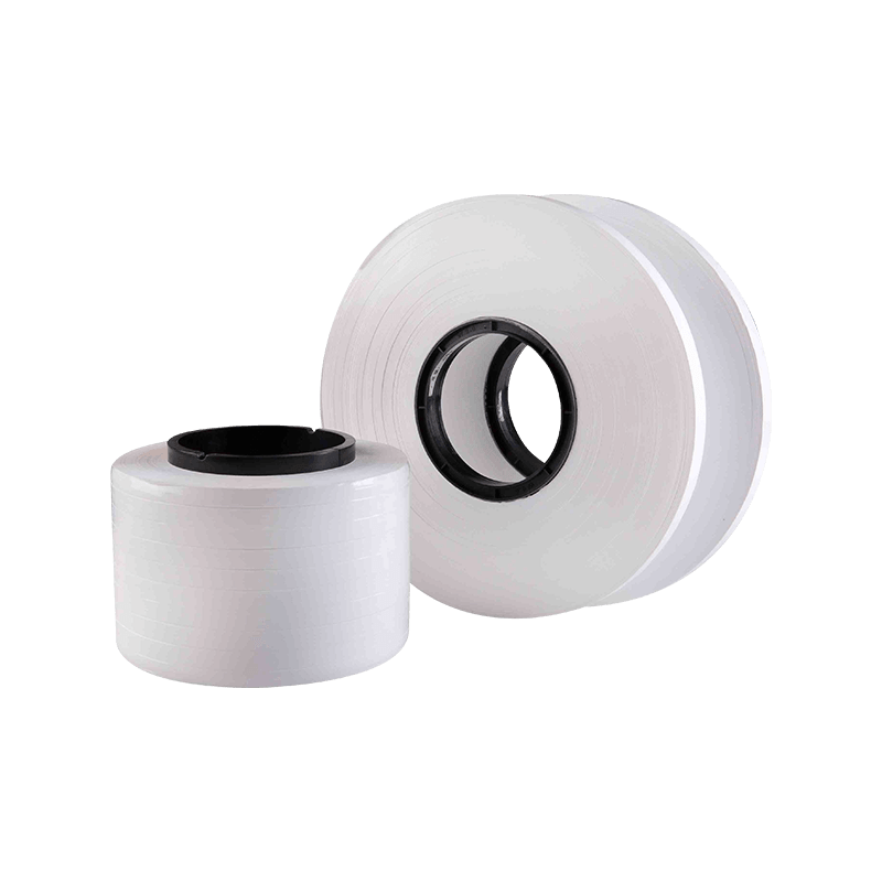 PTFE film